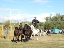 falunap2012_150_20180901